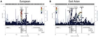 Functional Urate-Associated Genetic Variants Influence Expression of lincRNAs LINC01229 and MAFTRR